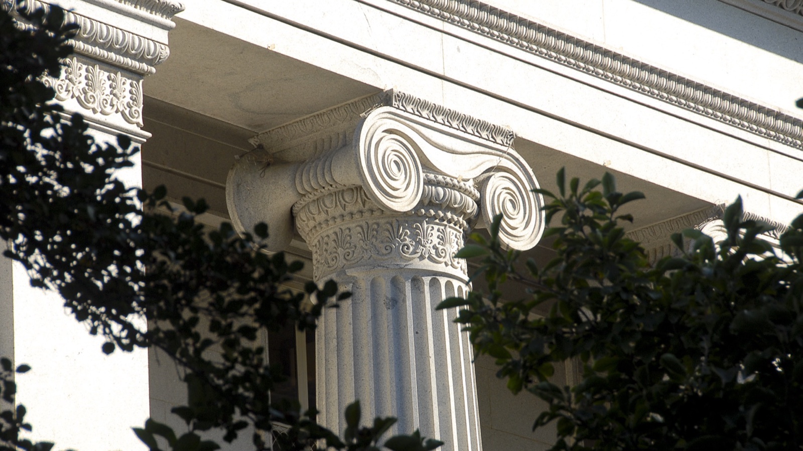 A sunlit Ionic column on the U.S. Treasury Building framed by trees