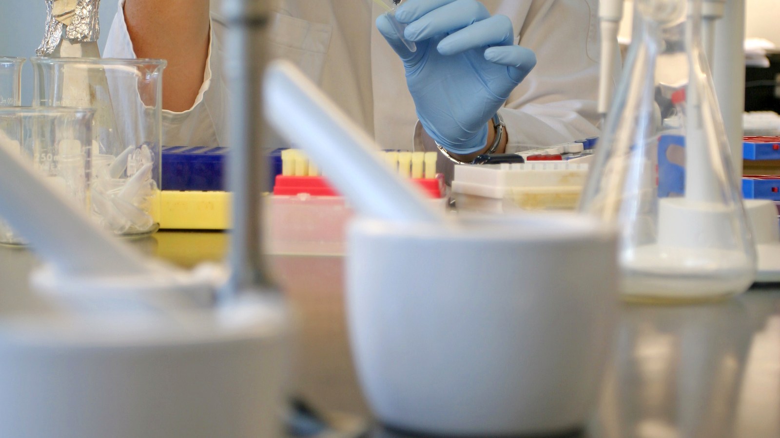 A gloved biologist pipettes a sample at a laboratory bench.